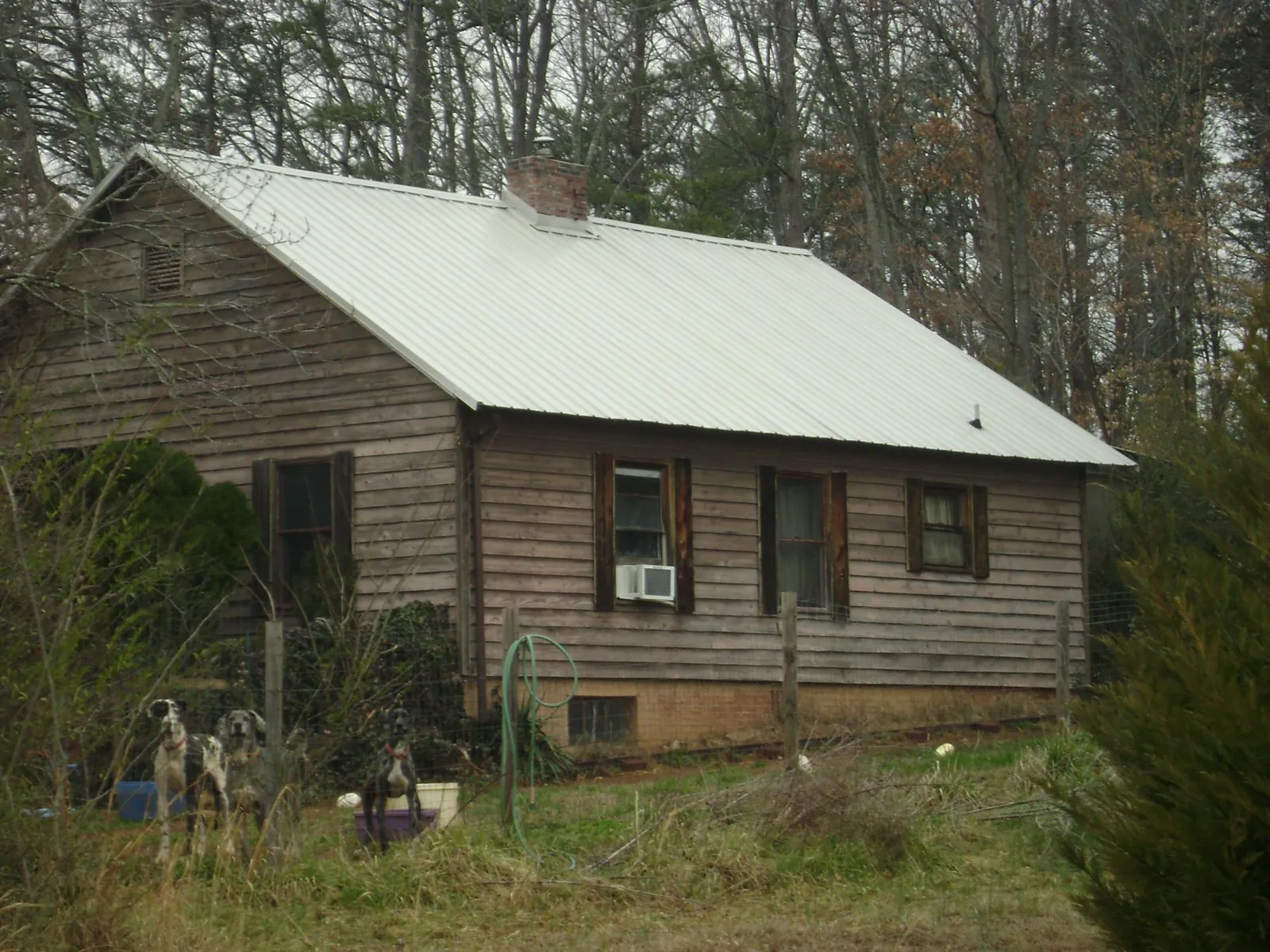 White metal roof on an old wood sided farmhouse, from a Metal Roof Installation job in Hilo